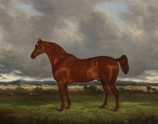 19C English School, oil on canvas, study of a hunter in a landscape